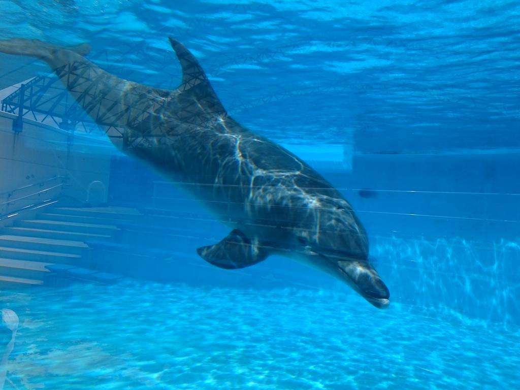 素泊まりの宿かえるやぁ 今帰仁村 エクステリア 写真
