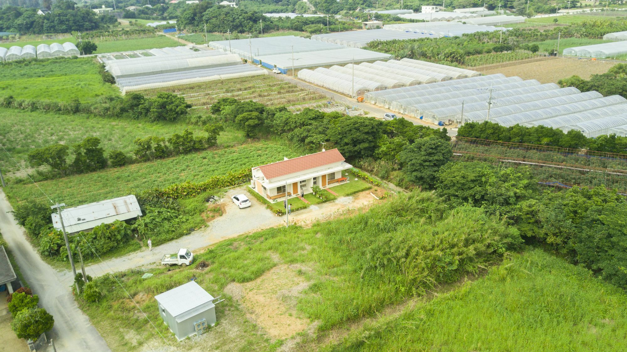 素泊まりの宿かえるやぁ 今帰仁村 エクステリア 写真